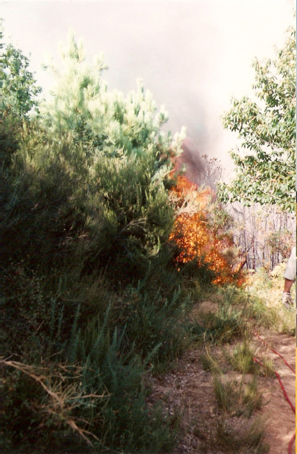 1994 02 20 Incendio Ponte agli Stolli - 8