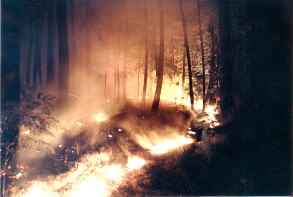 2001 08 05 Incendio Montefalco (PI) - 1