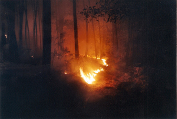 2001 08 05 Incendio Montefalco (PI)