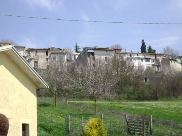 DSC01433