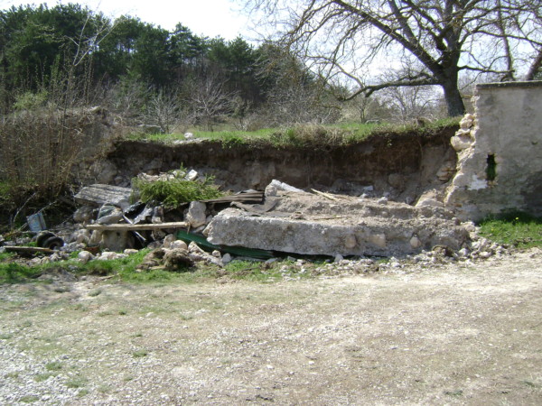 DSC01443