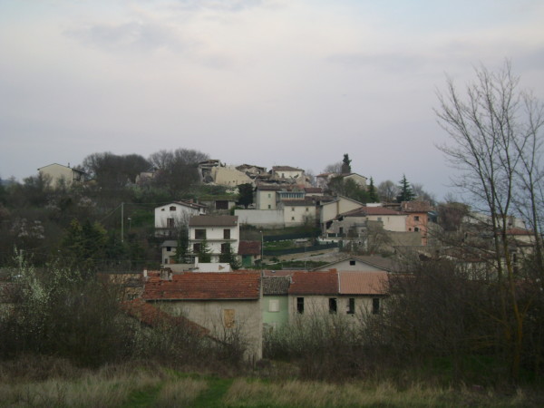 DSC01455