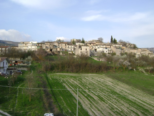 DSC01731