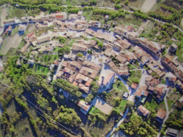 DSC01737