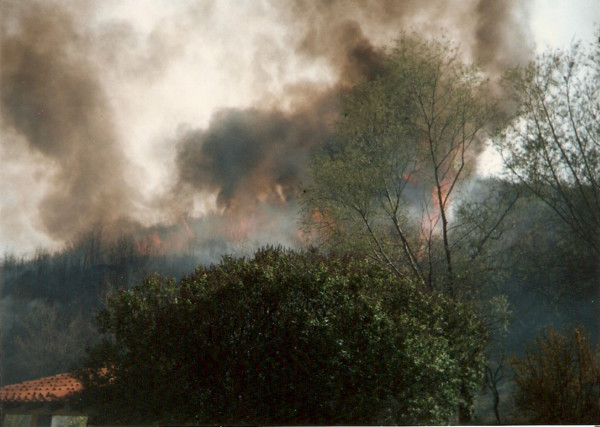 1979 08 Incendio Bisticci - Poggio Firenze - Quando la VAB non esisteva - 1