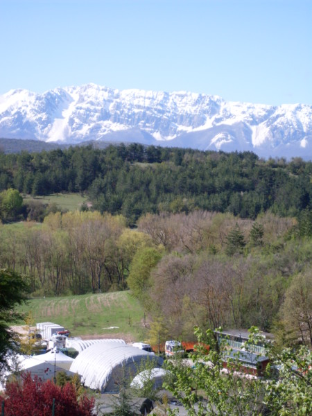 SDC10547